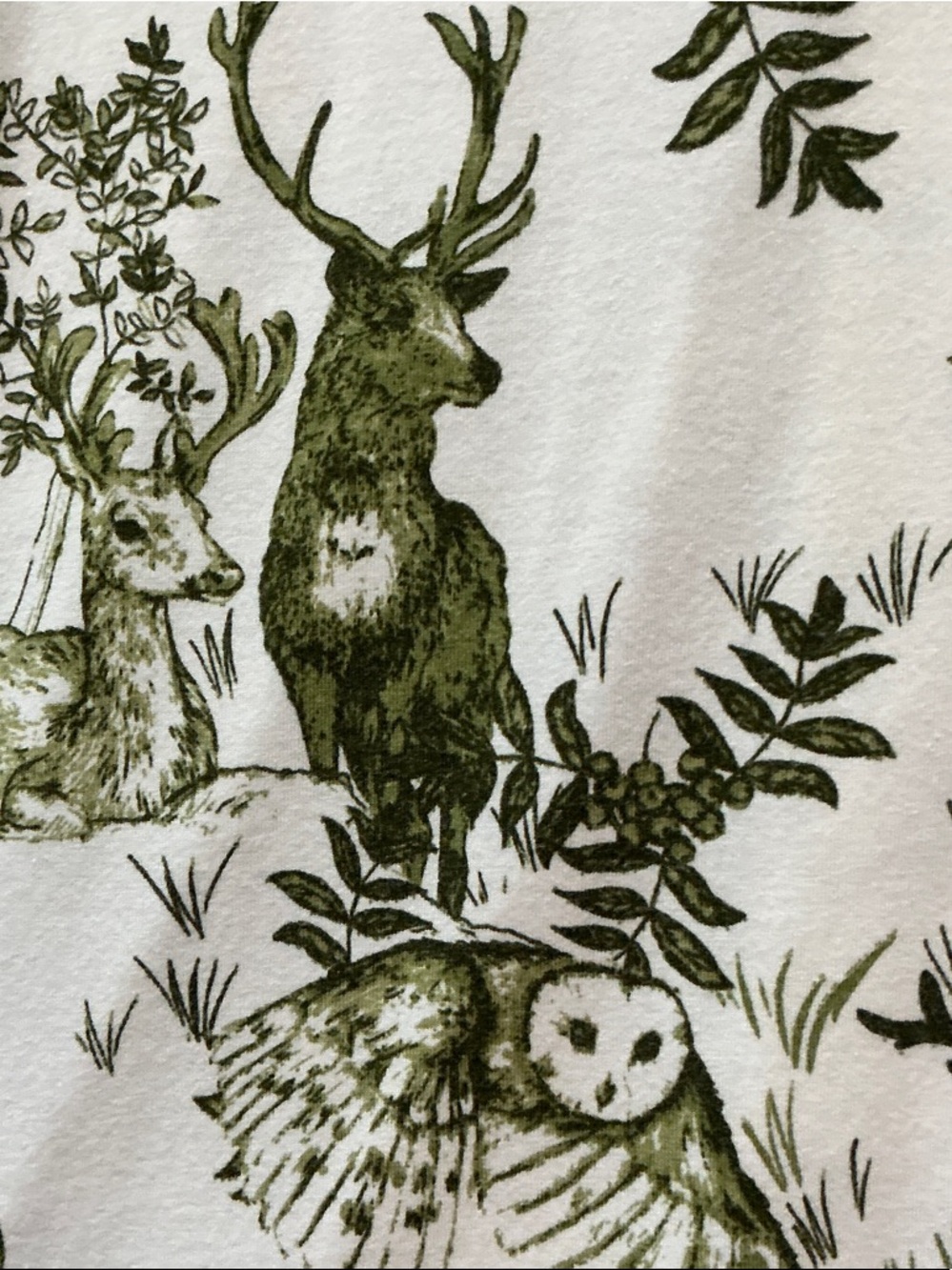 The Cat's Green & White Printed Button-Down Shirt - Picture 8 of 8